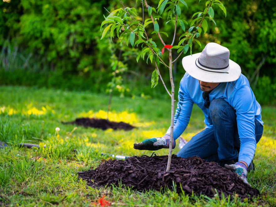 dica de compra camisa uv