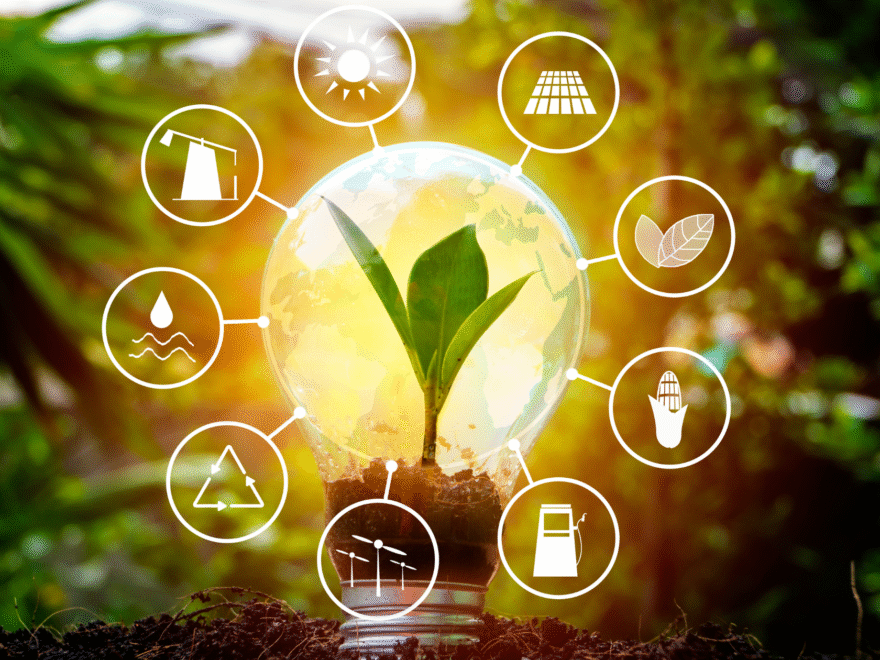 mercado livre de energia